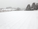 雪景色の畑