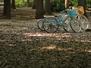 公園に子供用自転車