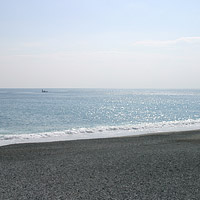西湘の海