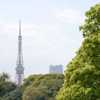 東京タワーと緑