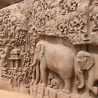 岩壁彫刻のゾウ