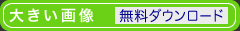 大きい画像 無料ダウンロード