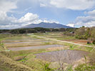 八ヶ岳と田んぼ