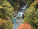 多摩川上流の紅葉