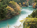 多摩川上流の紅葉