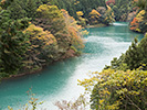 多摩川上流の紅葉