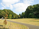 桜ヶ丘公園