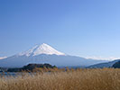 富士山とススキ