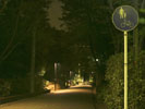 夜の歩道