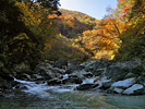 紅葉の尾白川