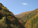 紅葉した山