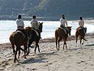 浜辺の乗馬