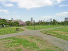 浜離宮恩賜庭園