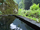 山中の水場