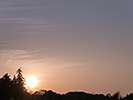 木の高さの太陽