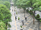 雨の日の歩道