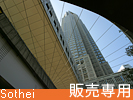 都庁を見上げる