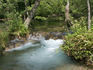 川と水泡