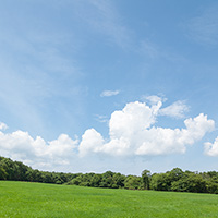 夏の空と草原