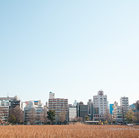 快晴とビルと不忍池