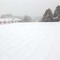 雪景色の畑