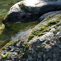 川と岩と苔