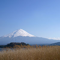 富士山とススキ