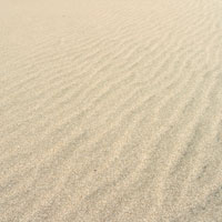 砂浜の風紋