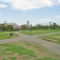 浜離宮恩賜庭園