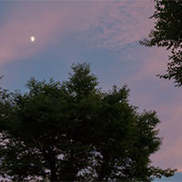 月と木とピンク雲