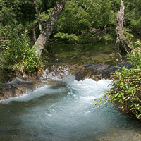 川と水泡